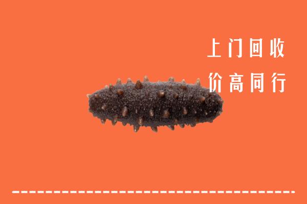 高价求购：巢湖回收海参